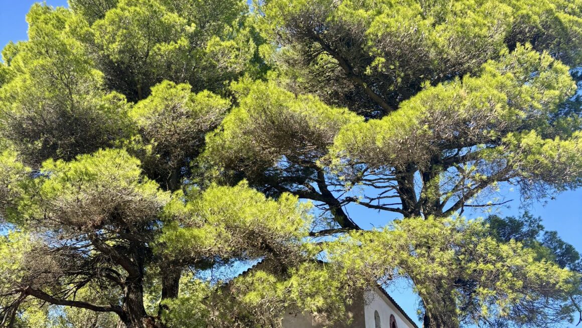 Άμεση Διακοπή Εργασιών για την Ανεμογεννήτρια στην Άνω Ζήρια Η Διεύθυνση Δόμησης Προχωρά σε Έλεγχο