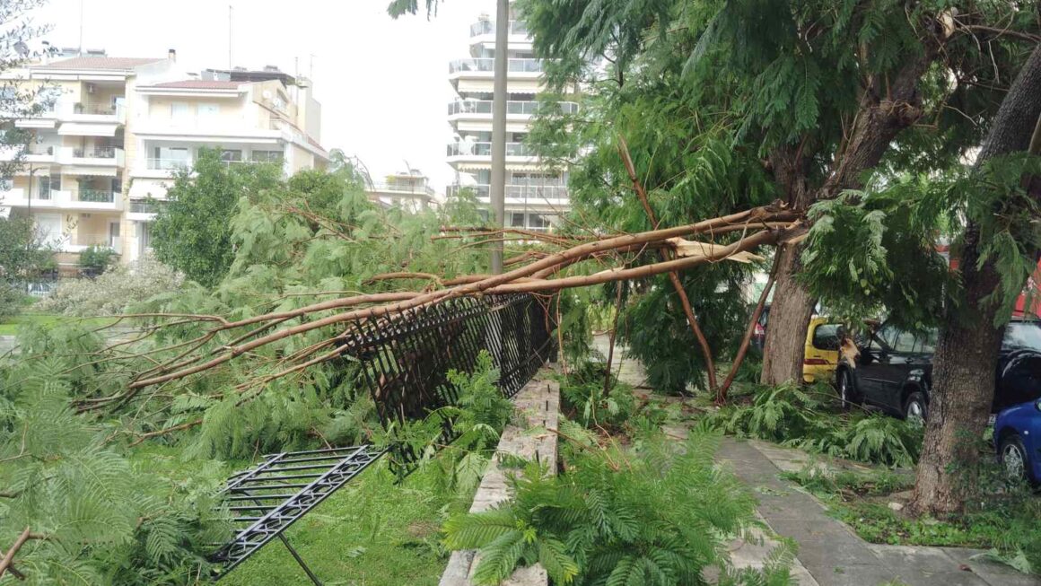 Ξεριζώθηκαν κι έσπασαν  δέντρα από τον αέρα στον περίβολο του Αγίου Ανδρέα
