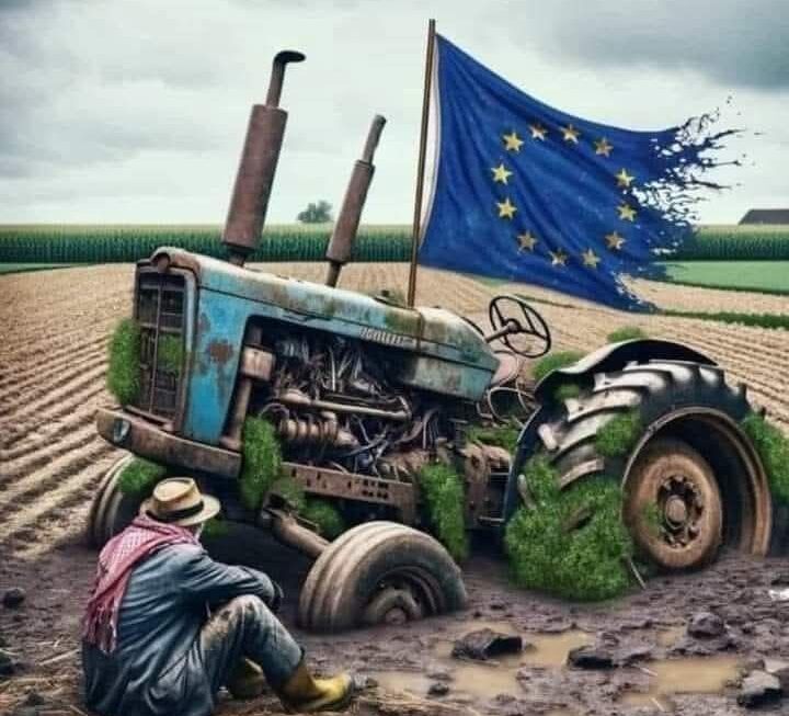 ΑΝΕΞΑΡΤΗΤΟΣ ΑΓΡΟΤΙΚΟΣ ΣΥΛΛΟΓΟΣ ΑΙΓΙΑΛΕΙΑΣ: «Δυστυχώς πιάσαμε πάτο»