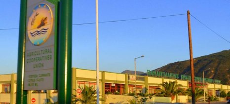 Ετοιμάζει Κινητοποίηση η ΠΕΣ για το παναγροτικό συλλαλητήριο της Τρίτης