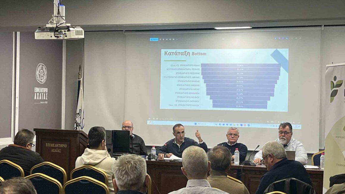 Θεόδωρος Λουλούδης: «Από το Τοπικό Σχέδιο Ανάπτυξης στο Ειδικό Πρόγραμμα Ανασυγκρότησης και Σύγκλισης για την Αχαΐα»