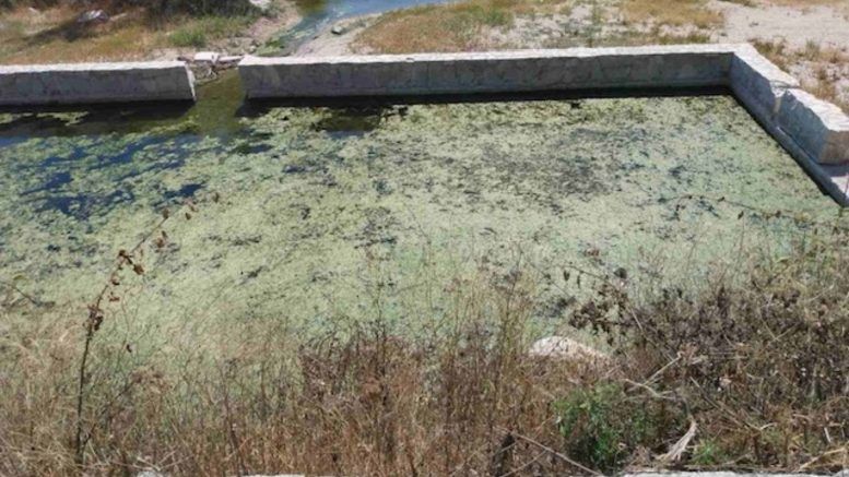 Στεργιόπουλος: Από τις φωτογραφίες στην εγκατάλειψη – Ποιος λογοδοτεί για τα Ιαματικά Λουτρά Αράξου;