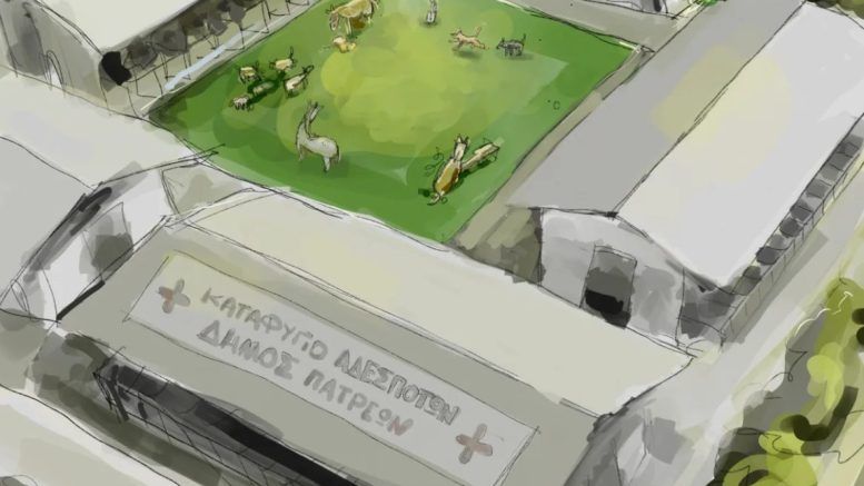 Το σπιράλ για τη διαχείριση των αδέσποτων ζώων