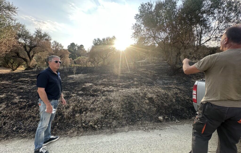 «Περπάτησαν» στα καμένα